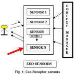 Fig. 1: Eso-Receptor sensors