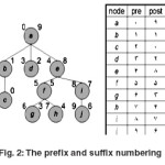 Fig. 2: The prefix and suffix numbering