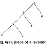 Fig. 6(a): piece of a levelindexthis