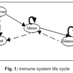 Fig. 1: immune system life cycle