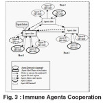 Fig. 3 : Immune Agents Cooperation