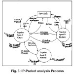 Fig. 5: IP-Packet analysis Process