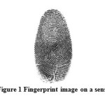 Figure 1 Fingerprint image on a senso