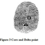 Figure 3 Core and Delta point