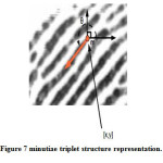 Figure 7 minutiae triplet structure representation.