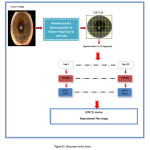 Figure(5) the proposed system