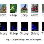 Fig 3: Original Images and its Histograms