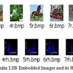 Fig 4: Regular LSB Embedded Images and its Histograms