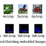 Fig 5: Proposed Pixel-Matching embedded Images and its Histograms