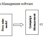 Figure 1: Role of Campaign Management software