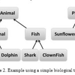Figure 2. Example using a simple biological taxonomy.