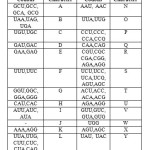 Table 2: A Mapping Of The Dna Codons Into Amino Acids