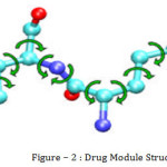 Figure – 2 : Drug Module Structure