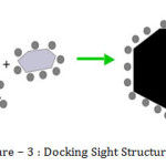 Figure – 3 : Docking Sight Structure