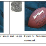 Figure5: Original Cover image and finger print as watermark   Figure6: Watermarked Image and extracted watermark