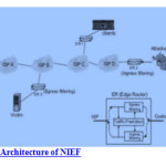 Figure 6. Architecture of NIEF