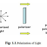 Fig: 1.1.Polarization of Light  	In fig 1.1, the light rays from a bulb passes 