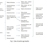 Fig 2. Idea of mobile app benifits