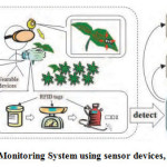 Figure – 1 Farm Monitoring System using sensor devices, RFID and CCTV.