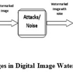 Fig 1: Stages in Digital Image Watermarking