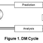 Figure 1. DM Cycle