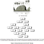 Figure 2. Data and decision tree for the IVF therapy