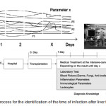 Figure 5. DM process for the identification of the time of infection after liver transplantation