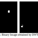 Fig.13. Binary Image obtained by DWT & SWT