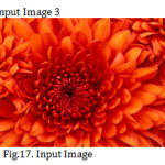 Fig.17. Input Image