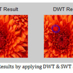 Fig.19. Results by applying DWT & SWT algorithm