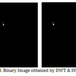 Fig.20. Binary Image obtained by DWT & SWT
