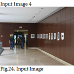 Fig.24. Input Image