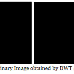 Fig.26. Binary Image obtained by DWT & SWT