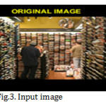 Figure 3: Input image