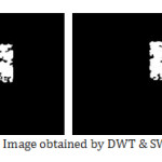 Fig.6. Binary Image obtained by DWT & SWT respectively