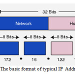 Fig. 4  The basic format of typical IP  Address[6]