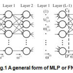 Fig.1 A general form of MLP or FNN
