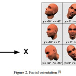 Figure 2. Facial orientation [5]