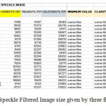 Fig1.Speckle Filtered Image size given by three filters