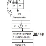 Fig.2. ELM Training Process.