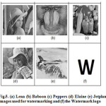 Fig.5. (a) Lena (b) Baboon (c) Peppers (d) Elaine (e) Jetplane images used for watermarking and (f) the Watermark logo
