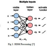 Fig 1: RBM Processing [7]