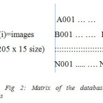Fig 2: Matrix of the database with features