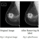 Fig 5:AfterProcess