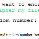 Figure 1. plaintext and random number from user.