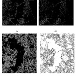 Figure 5: Comparison results of contour detection for IR satellite imagery: (a) image obtained  by Prewitt; (b) Image obtained by Robert; (c) Image obtained by Rule 511P; and, (d) Image obtained by FR1.