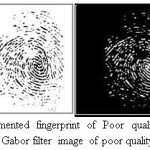 Figure 10.Segmented fingerprint of Poor quality image taken from DB1 and Gabor filter image of poor quality