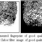 Figure 11.Segmented fingerprint of good quality image taken from DB2 and Gabor filter image of good quality