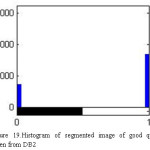 Figure 19.Histogram of segmented image of good quality taken from DB2