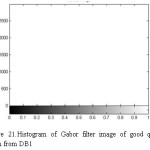 Figure 21: Histogram of Gabor filter image of good quality taken from DB1